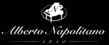 Alberto Napolitano Logo