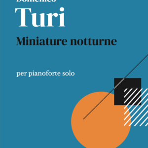 Miniature notturne (Copia) (Copia)